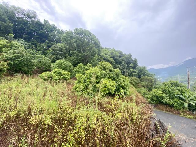 南投中寮農舍-7