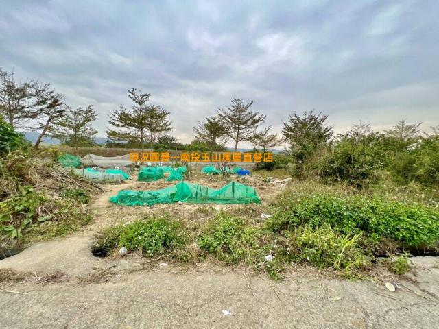 南投草屯農地-4