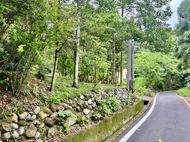 南投鹿谷農地-10