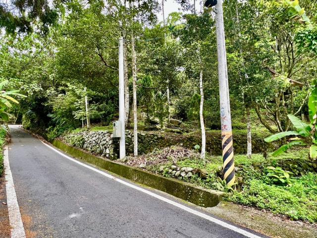 南投鹿谷農地-12