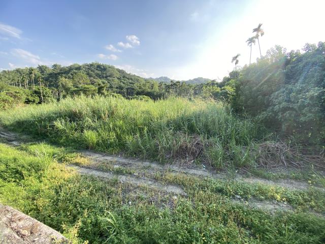 名間農地-3
