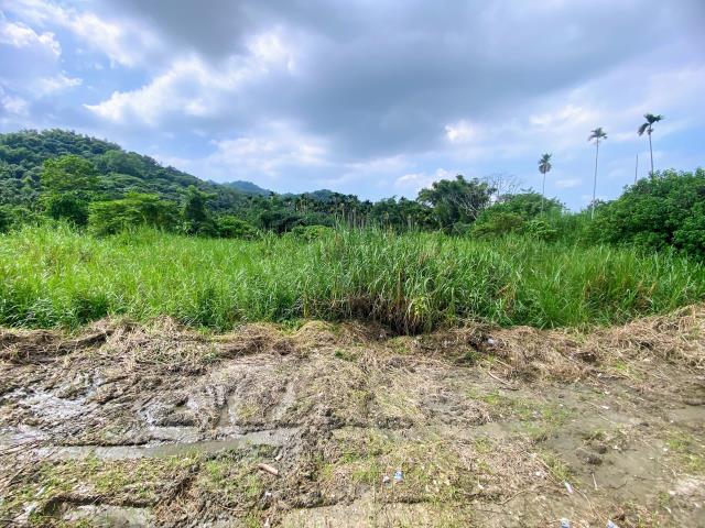 名間農地-6