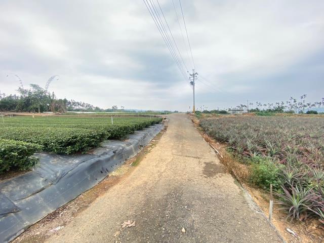 南投名間農地-0