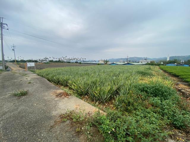 南投名間農地-2