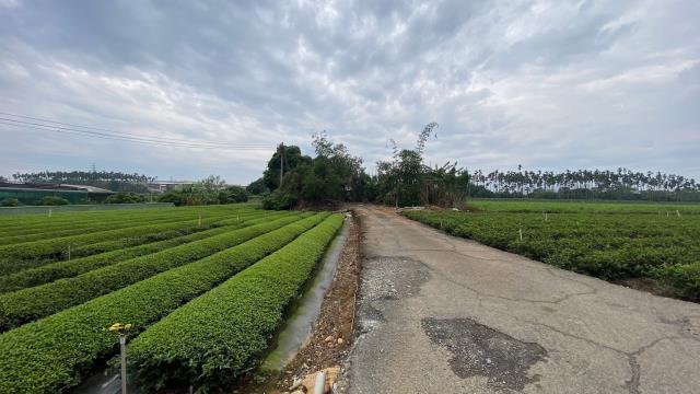南投名間農地-6