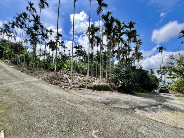 中寮農地-4