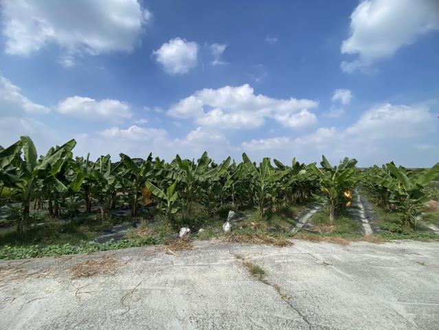 林內農地-1