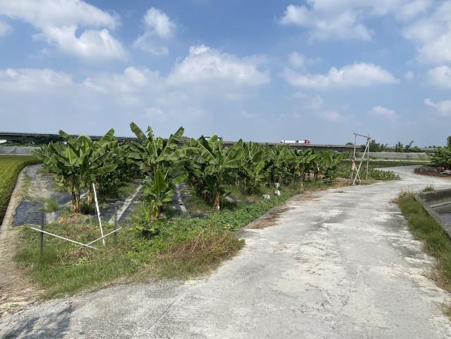 林內農地-4