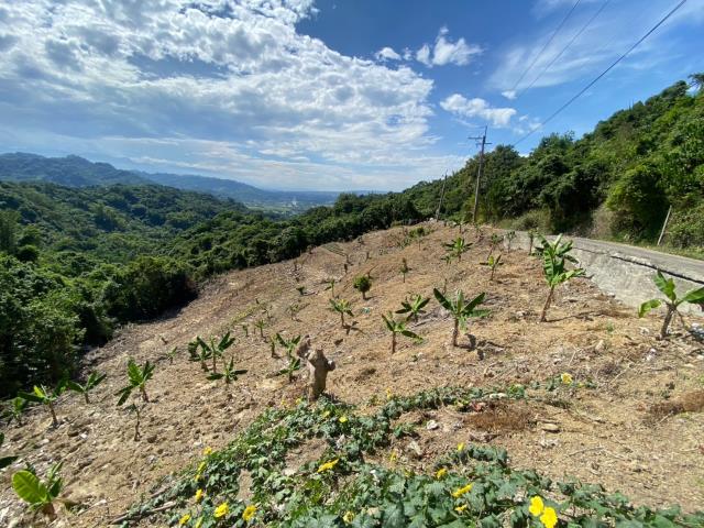 南投山坡地-1
