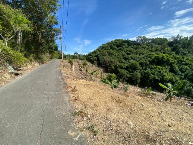 南投山坡地-3