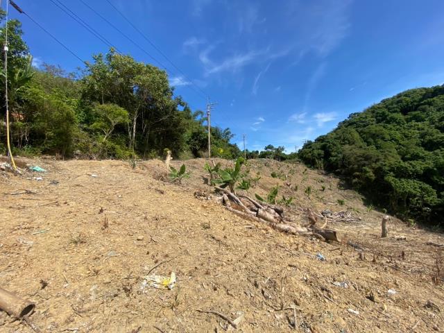 南投山坡地-4