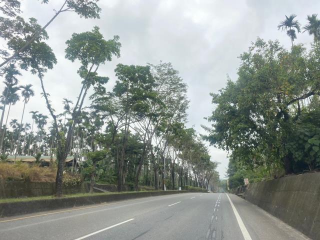 南投集集農地-5