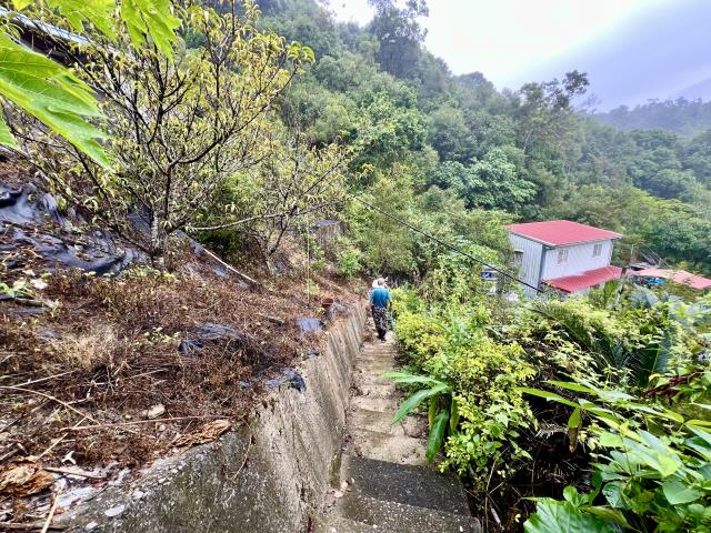 中寮山坡地-9