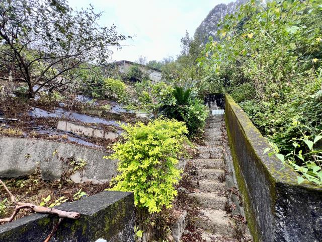 中寮山坡地-10