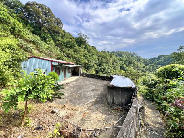 中寮山坡地-0