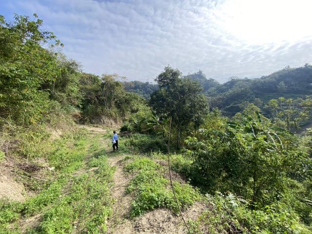 南投中寮農地-1