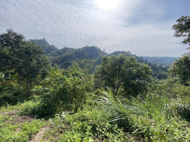 南投中寮農地-2