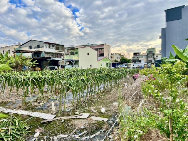 南投名間農地-1