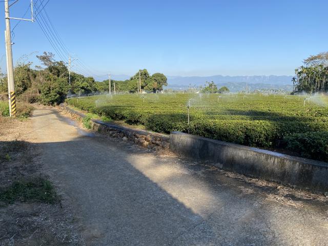南投農地-6