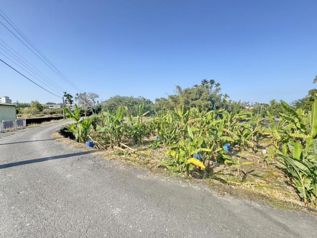 南投名間農地-9