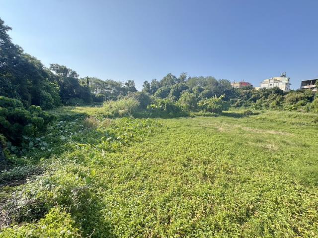 南投名間農地-0