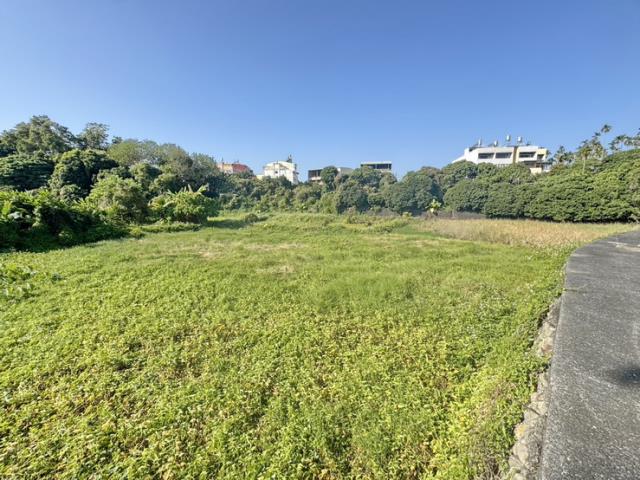 南投名間農地-2
