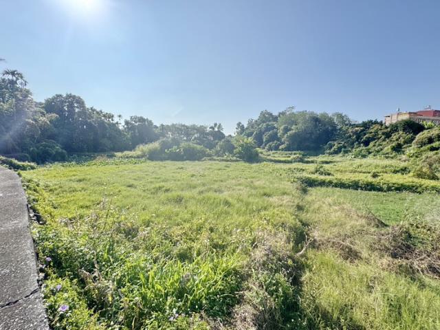 南投名間農地-3
