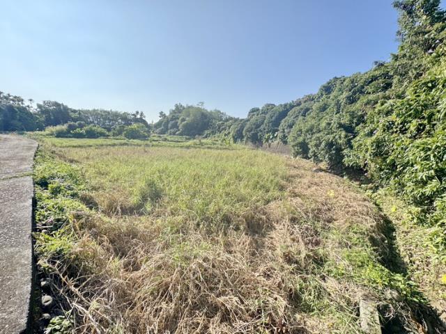 南投名間農地-5