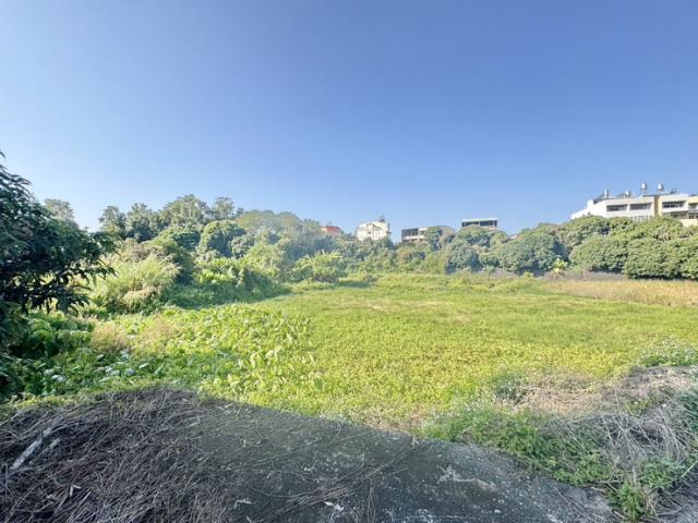 南投名間農地-7