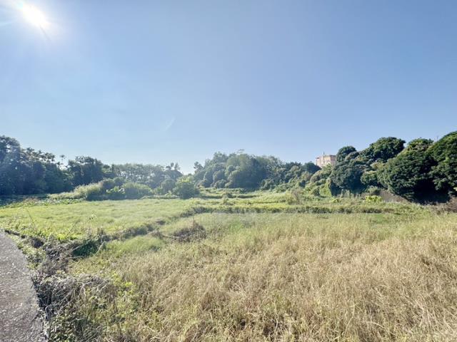 南投名間農地-8