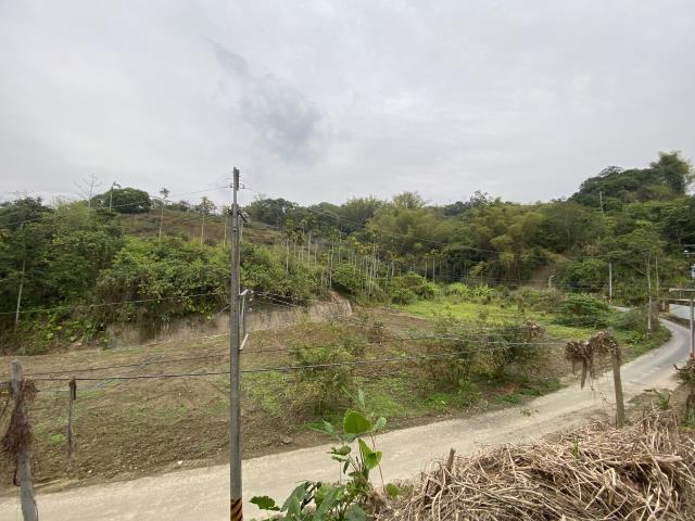 南投中寮農地-2