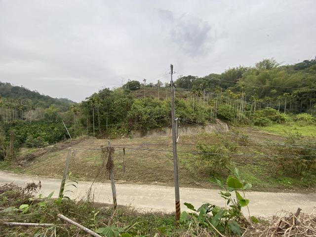 南投中寮農地-4