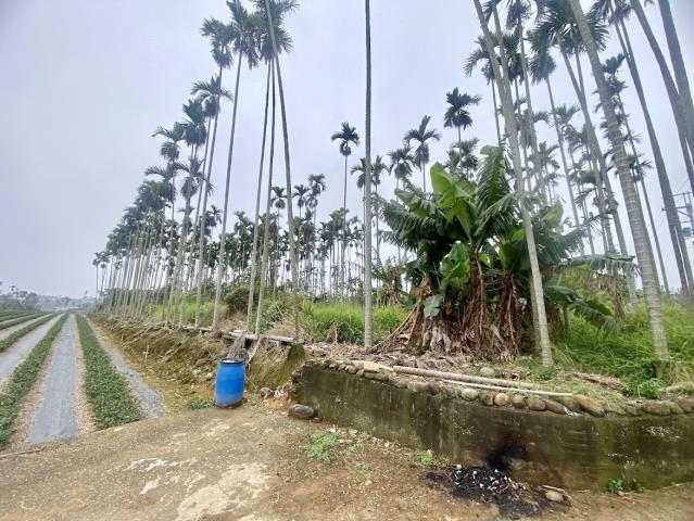 名間農地-0