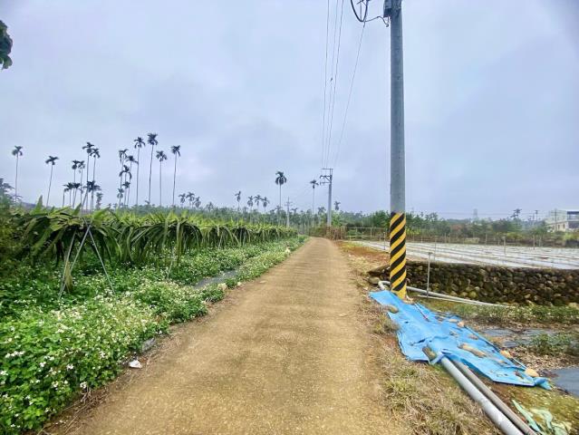 名間農地-5
