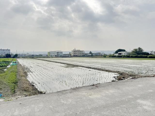 芬園農地-0
