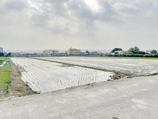 芬園農地-1
