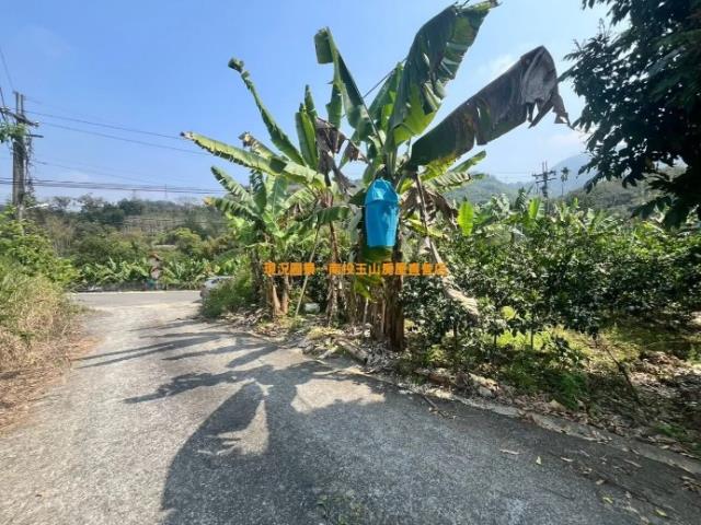 中寮農地-2