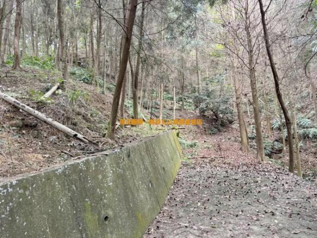 中寮農地-9