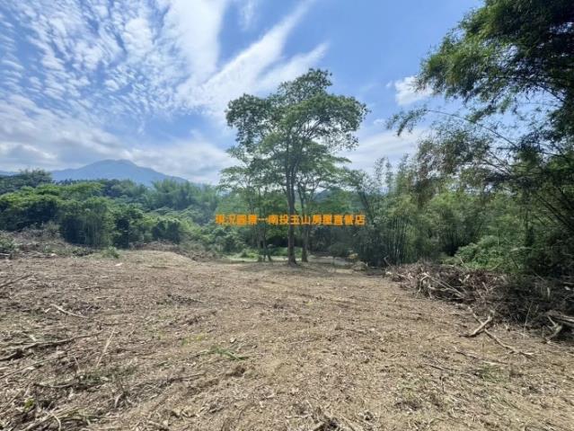 集集山坡地-5