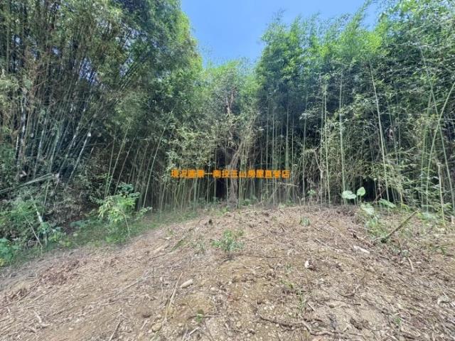集集山坡地-6