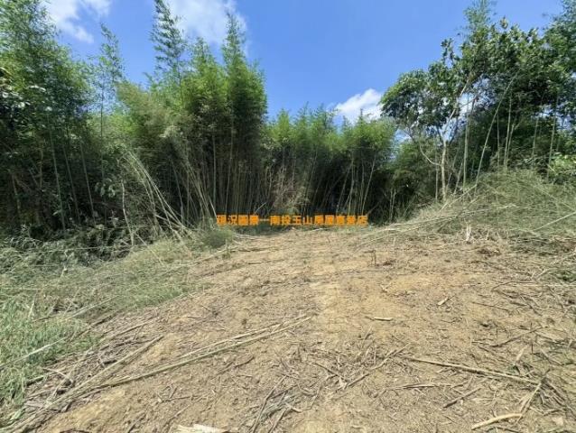集集山坡地-8