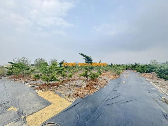 名間農地-4