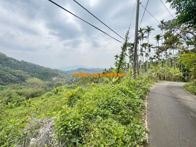 南投中寮山坡地-0