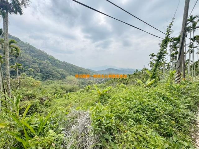 南投中寮山坡地-1