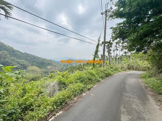 南投中寮山坡地-2