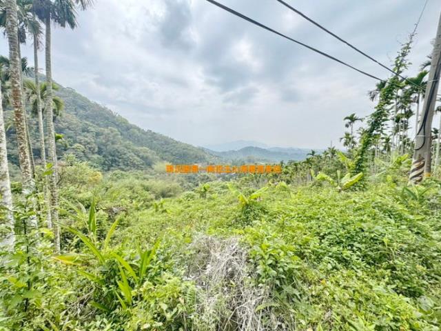 南投中寮山坡地-3