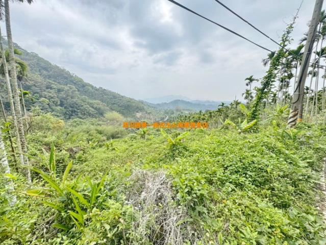南投中寮山坡地-4
