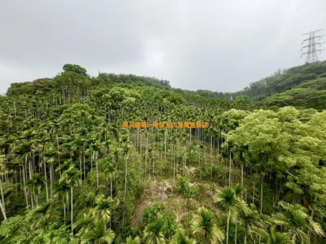 草屯農地-9