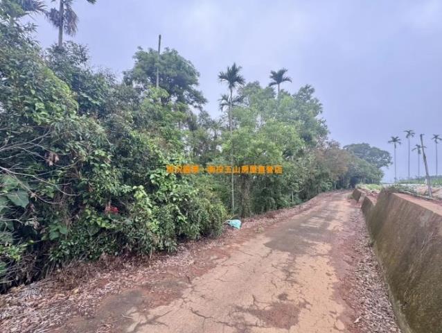 南投市山坡地-0
