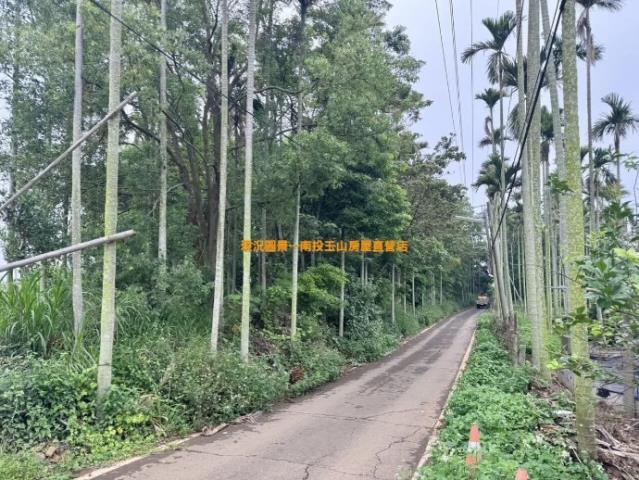 南投農地-0